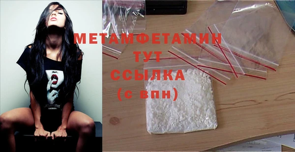 индика Белокуриха