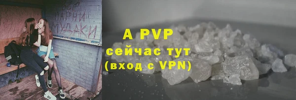 индика Белокуриха