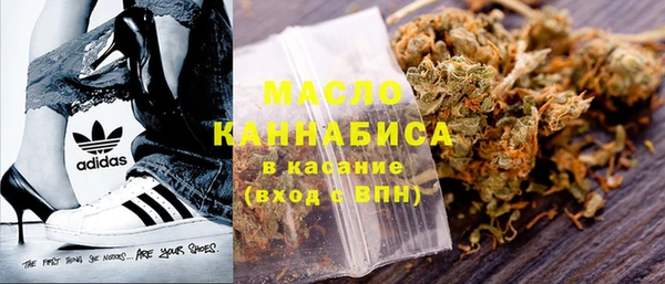 индика Белокуриха