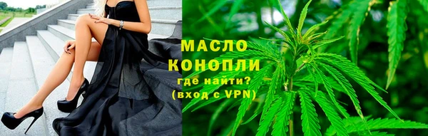 индика Белокуриха