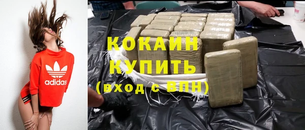 индика Белокуриха