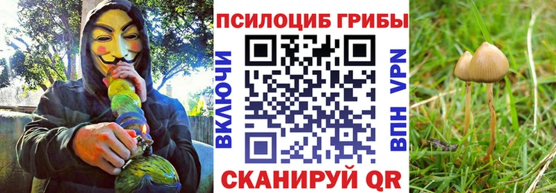 Галлюциногенные грибы ЛСД  Высоцк 